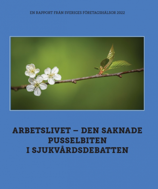 Framsida rapport, grön kvist